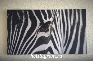 Печать фото зебры на холсте