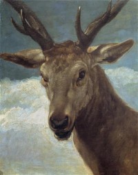 Картина автора Веласкес Диего под названием Head of a Buck