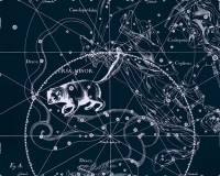 Картина автора Гевелий Ян под названием Uranographia - Ursa Minor  				 - Уранография - Малая Медведица