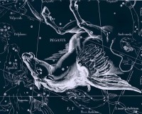 Картина автора Гевелий Ян под названием Uranographia - Pegasus  				 - Уранография - Пегас