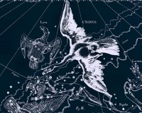 Картина автора Гевелий Ян под названием Uranographia - Cygnus  				 - Лебедь
