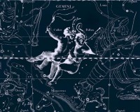Картина автора Гевелий Ян под названием Gemini  				 - Близнецы