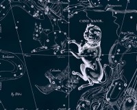 Картина автора Гевелий Ян под названием Uranographia - Canis Major  				 - Уранография - Большой Пес