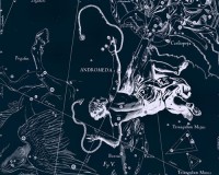 Картина автора Гевелий Ян под названием Uranographia - Andromeda  				 - Уранография - Андромеда
