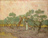 Картина автора Винсент Ван Гог под названием Женщины собирают маслины