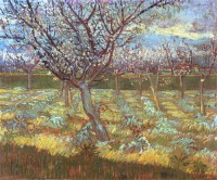 Картина автора Винсент Ван Гог под названием Apricot Tree in Bloom