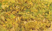 Картина автора Винсент Ван Гог под названием Champ de fleurs jaunes