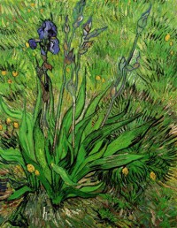 Картина автора Винсент Ван Гог под названием The Iris