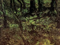 Картина автора Винсент Ван Гог под названием Undergrowth with Ivy