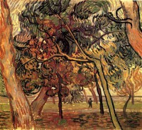 Картина автора Винсент Ван Гог под названием Study of Pine Trees