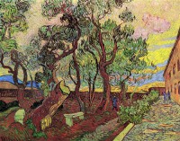 Картина автора Винсент Ван Гог под названием The Garden of Saint-Paul Hospital 4