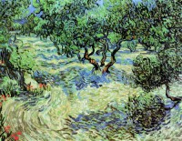 Картина автора Винсент Ван Гог под названием Olive Grove