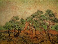 Картина автора Винсент Ван Гог под названием Olive Picking 3