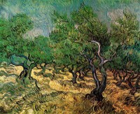 Картина автора Винсент Ван Гог под названием Olive Grove 2