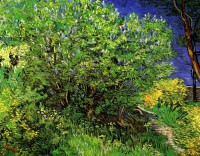 Картина автора Винсент Ван Гог под названием Lilacs