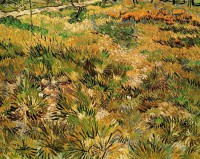 Картина автора Винсент Ван Гог под названием Meadow in the Garden of Saint-Paul Hospital