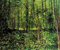 Картина автора Винсент Ван Гог под названием Trees and Undergrowth 2