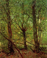 Картина автора Винсент Ван Гог под названием Trees and Undergrowth