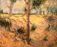 Картина автора Винсент Ван Гог под названием Trees in a Field on a Sunny Day