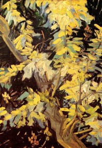 Картина автора Винсент Ван Гог под названием Blossoming Acacia Branches