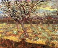 Картина автора Винсент Ван Гог под названием Apricot Trees in Blossom 2