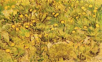 Картина автора Винсент Ван Гог под названием A Field of Yellow Flowers