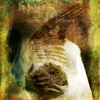 Картина автора Дали Сальвадор под названием The Bird Madonna  				 - Птичье гнездо
