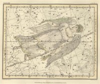 Картина автора Джеймисон Александр под названием Celestial Atlas  				 - Уранография - Дева