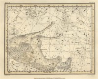 Картина автора Джеймисон Александр под названием Celestial Atlas  				 - Уранография - Пегас