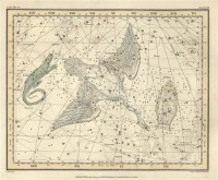 Картина автора Джеймисон Александр под названием Celestial Atlas  				 - Уранография - Лебедь, Лира, Ящерица