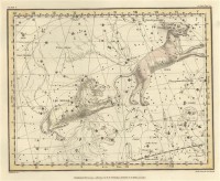 Картина автора Джеймисон Александр под названием Celestial Atlas  				 - Уранография - Рысь, Малый Лев