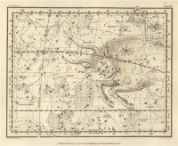 Картина автора Джеймисон Александр под названием Celestial Atlas  				 - Уранография - Уранография - Бык