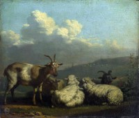 Картина автора Дюжарден Карел под названием Овцы  и  козы