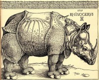 Картина автора Дюрер Альбрехт под названием Rhinoceros