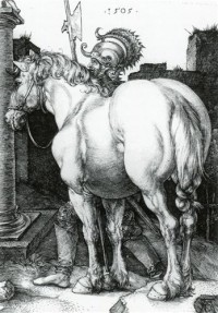 Картина автора Дюрер Альбрехт под названием Large Horse