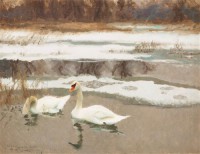 Картина автора Лильефорс Бруно под названием Svanar/Swans