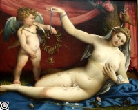 Картина автора Лотто Лоренцо под названием Venus and Cupid