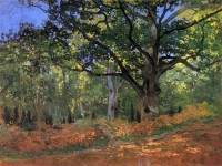 Картина автора Моне Оскар Клод под названием The Bodmer Oak, Fontainbleau Forest