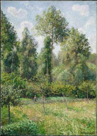 Картина автора Писсарро Камиль под названием Poplars, Eragny