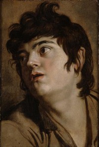 Картина автора Рубенс Питер Пауль под названием Head of a Young Man  				 - Глава молодого парня
