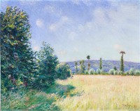 Картина автора Сислей Альфред под названием Sahurs, Meadows in Morning Sun  				 - Саюр, луга солнечным утром