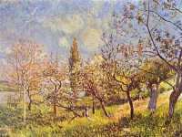 Картина автора Сислей Альфред под названием Orchard in spring