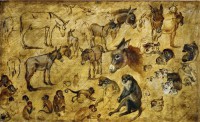 Картина автора Старший Ян Брейгель под названием Эскиз собак