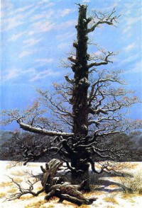 Картина автора Фридрих Каспар Давид под названием Eichbaum im Schnee