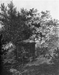 Картина автора Фридрих Каспар Давид под названием Quelle im Frederiksberger Garten I