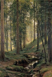 Картина автора Шишкин Иван под названием Ручей в лесу