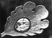 Картина автора Эшер Мауриц Корнелис под названием dewdrop  				 - Капля росы