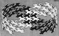 Картина автора Эшер Мауриц Корнелис под названием swans  				 - Лебеди