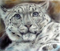 Картина автора Животные под названием Kat  				 - Кошка