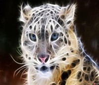 Картина автора Постеры под названием огненный леопард